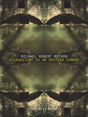cover image of DIVAGAZIONI SU UN DESTINO COMUNE